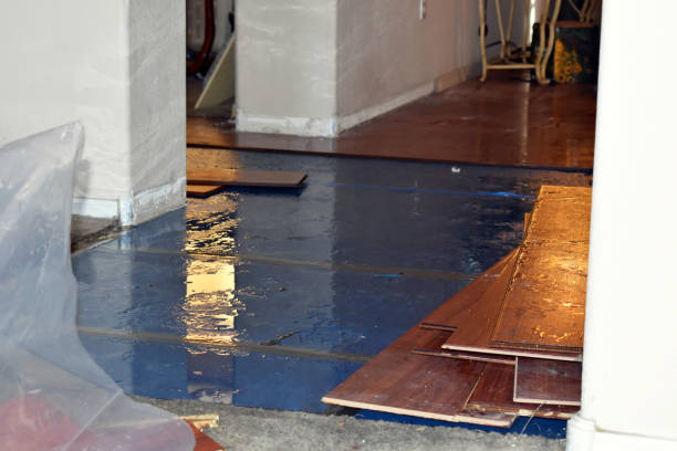 Professional Burst Pipe Cleanup technician working in Woodland, WI